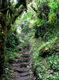 Monteverde trail