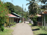 Tortuguero main street